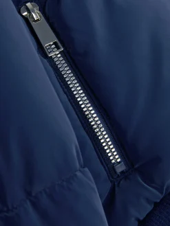 Primark Casacos E Blusões^Casaco Acolchoado Colarinho