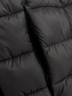 Primark Casacos E Blusões^Casaco Acolchoado Gola Funil