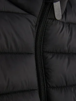 Primark Casacos E Blusões^Colete Acolchoado Com Fecho