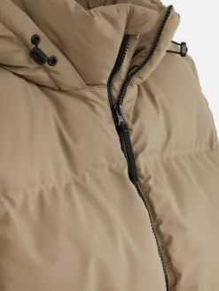 Primark Casacos E Blusões^Colete Capuz Acolchoado