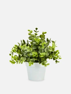 Primark Flores E Plantas Artificiais^Eucalipto Artificial Pequeno
