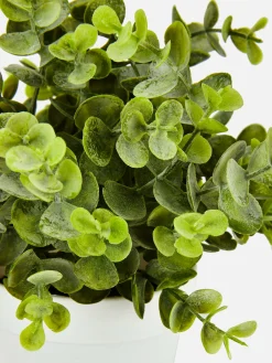 Primark Flores E Plantas Artificiais^Eucalipto Artificial Pequeno