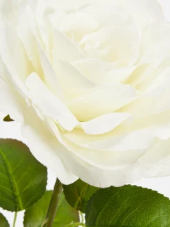 Primark Flores E Plantas Artificiais^Rosa Artificial Haste única