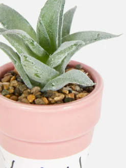 Primark Flores E Plantas Artificiais^Suculenta Artificial Em Vaso Colorido