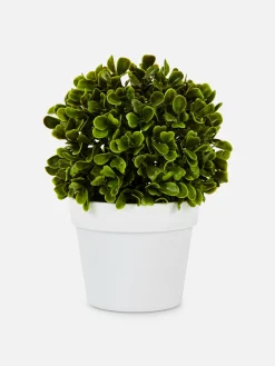 Primark Flores E Plantas Artificiais^Suculenta Artificial Vaso