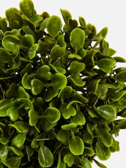 Primark Flores E Plantas Artificiais^Suculenta Artificial Vaso