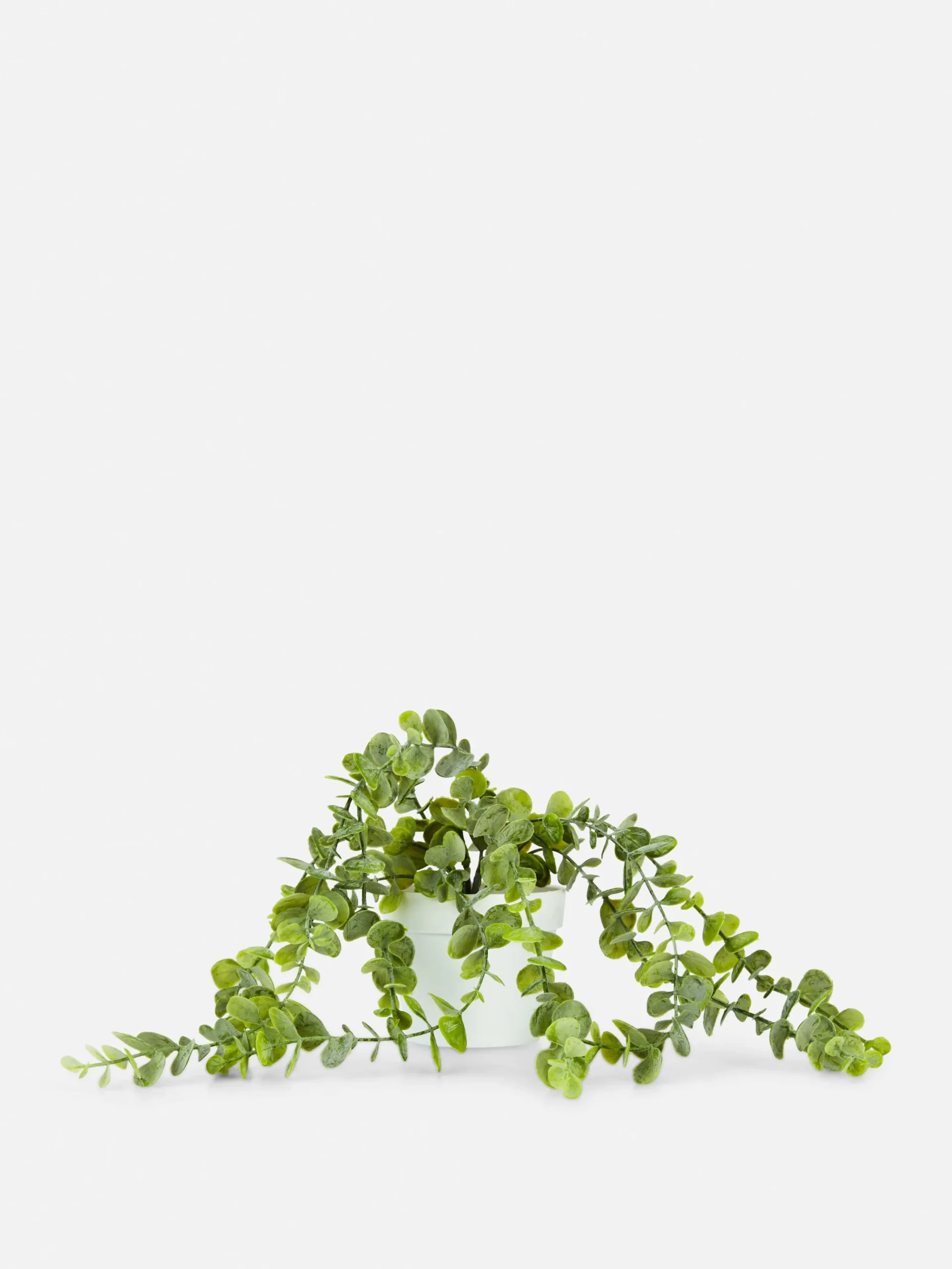 Primark Flores E Plantas Artificiais^Trepadeira Artificial Vaso